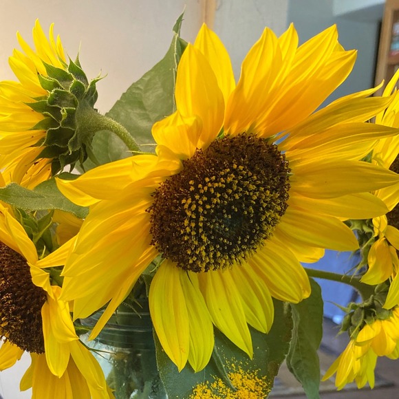 Meet your Posher, Maureen - Picture 1 of 1